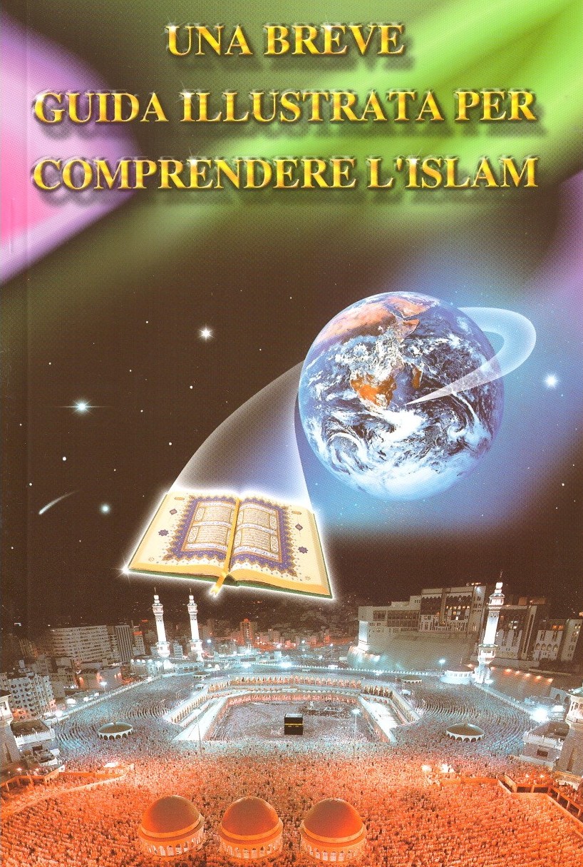 Una Breve Guida Illustrata Per Comprendere L